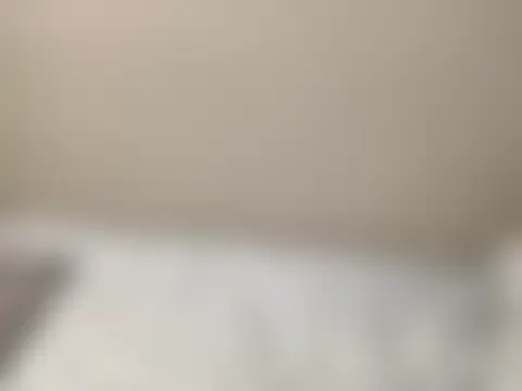 Živá chatovací místnost cheese_onion