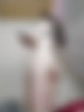 Jade69xx 실시간 채팅방