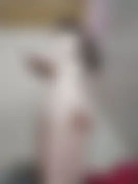 Jade69xx's Live Chat Room