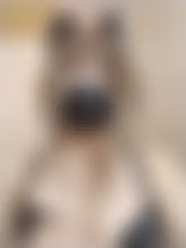 Phòng Chat Trực Tiếp Jade69xx