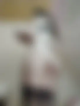 Jade69xx Live Chatrum