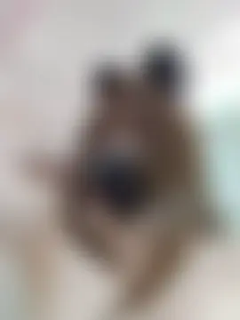 Bilik Sembang Langsung Jade69xx