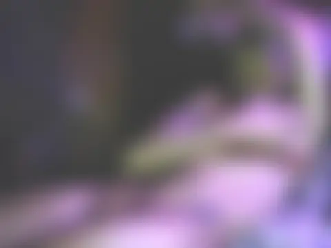 HarmoniousPhantasm3: απευθείας σέξι σόου στην κάμερα