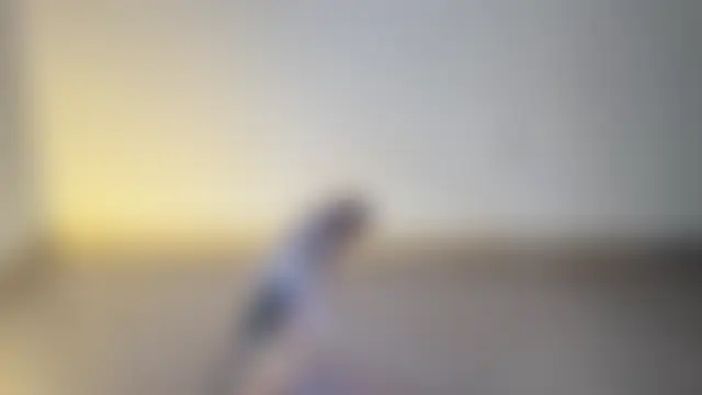 In-Ur-dreams' Webcam Show