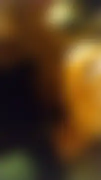 ห้องแชทสดของ mar_ygonza