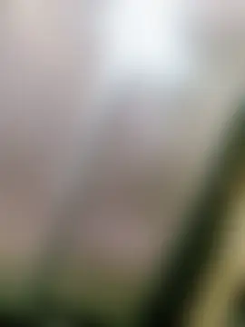 SansanCii 网络视讯表演