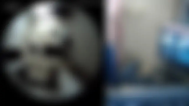 316wp Live seks camshow