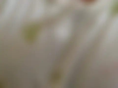 ChubbyButty লাইভ চ্যাট রুম