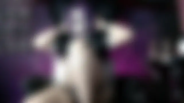 Navier__ 在線直播表演