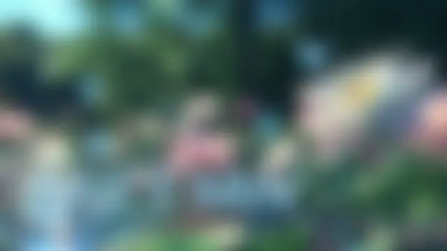 peachy_fortune Live Chatrum