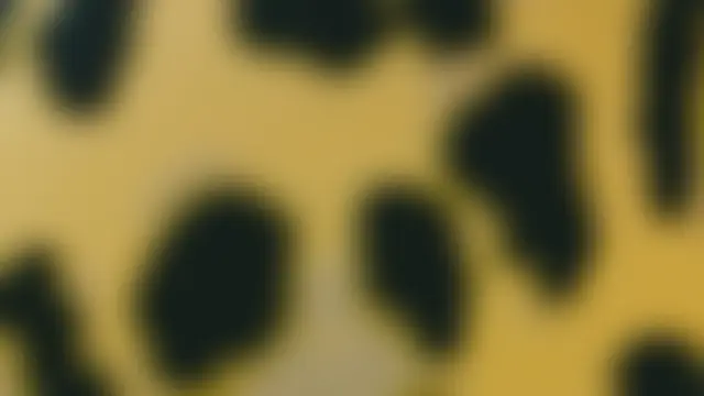 ScarlettPetrova Live chatroom