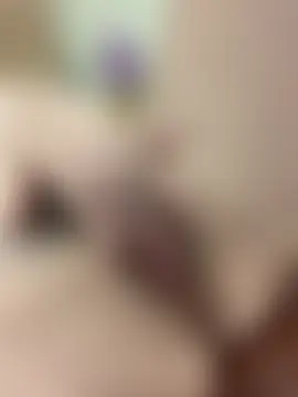 hoho-is – Naživo chatovacia miestnosť