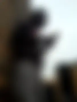 gsew Chat Room in diretta