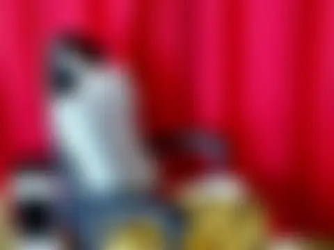 lovelyxmorenaのライブチャットルーム