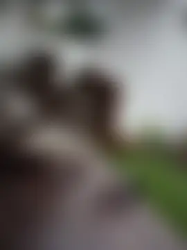 CurlyMilf_Vannexxxa 即時聊天室