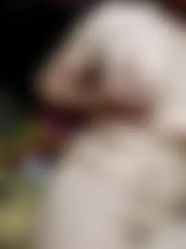 _Jasmine_77 现场聊天室