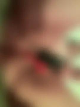 חדר צ'אט בשידור חי של melanie_hh1