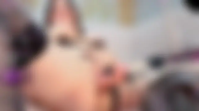חדר צ'אט בשידור חי של lisa_esposito_s