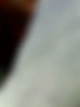 Pusssyfuc: διαδικτυακό σόου στην κάμερα