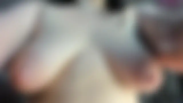fancy_casssie 现场聊天室
