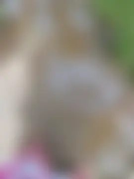 Chat ao vivo de YOURBHABI143