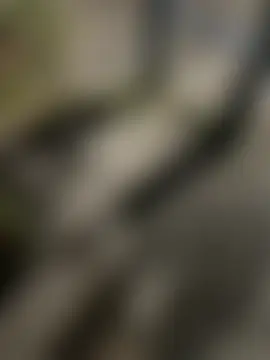 ห้องแชทสดของ joel852