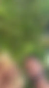 julexswのライブセックスカメラショー