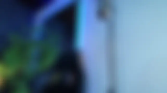 miia_stonne Obrolan Langsung XXX