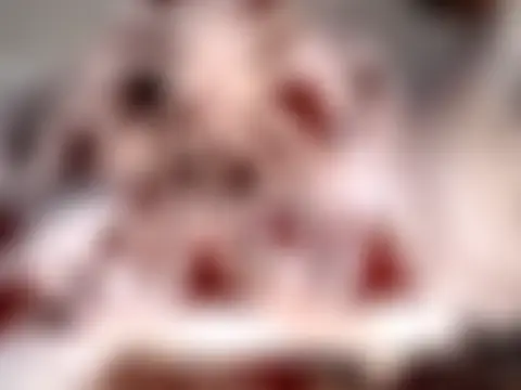 Littlemistress24 Cameră chat live