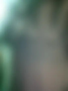 Hayaya11 Live Chatrum