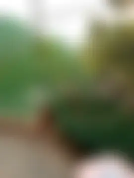 Chat soba uživo modela Hayaya11