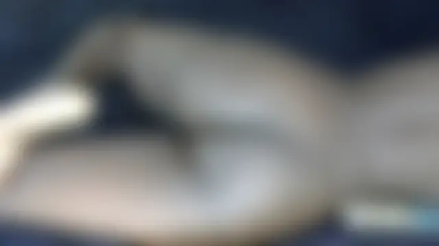 Lusty_bibah élő chatszobája