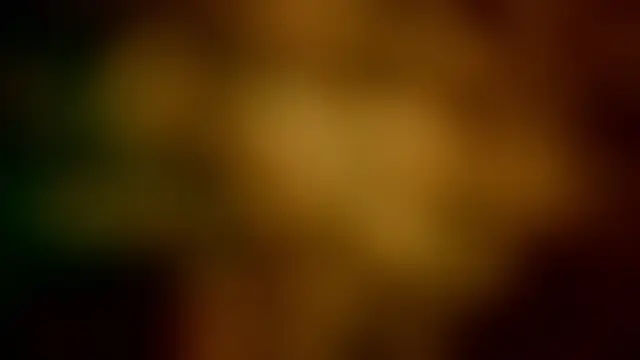 barbara_leython 실시간 채팅방