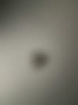 pussyeater_- 실시간 채팅방