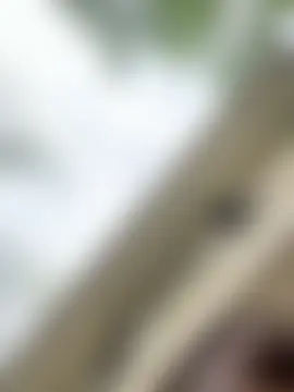 pussyeater_- live-chat rom