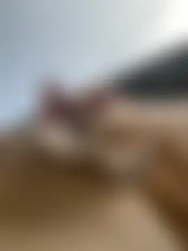 cuty_lusy: δωμάτιο απευθείας συνομιλίας