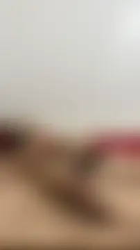 Bilik Sembang Langsung vietAnhzip