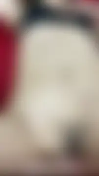 Živá chatovací místnost vietAnhzip