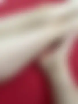 vietAnhzip webkamerás műsora