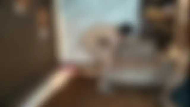 عرض كام nympho_queenhot