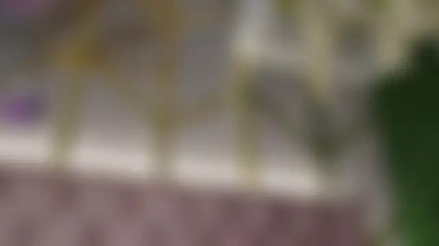 Sala de chat en directo de Aurora_Cruz
