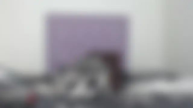 blackhorseet 色情直播秀