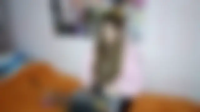 Chat soba uživo modela JanineThielman