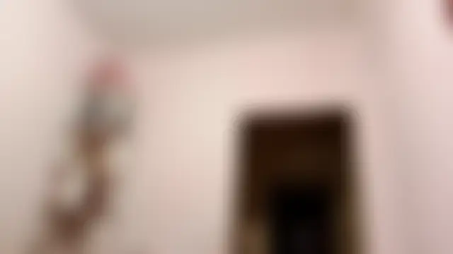 JanineThielman 即時聊天室