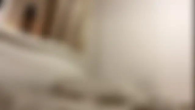 TrulaPhay: онлайн-чат