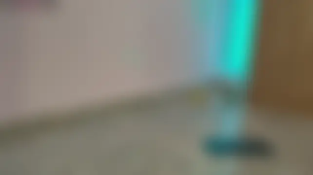 ling_meow 실시간 채팅방