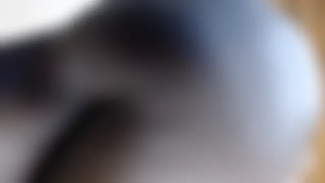 Africanbabe_: δωμάτιο απευθείας συνομιλίας