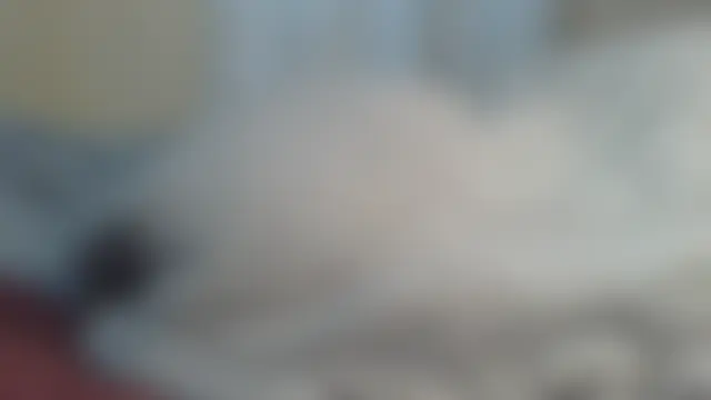 ndivhuwomuleya – live chatrum