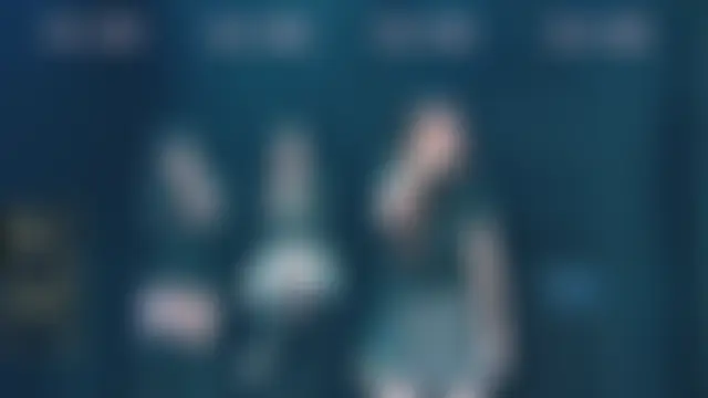 Sala de chat ao vivo de Fox_815