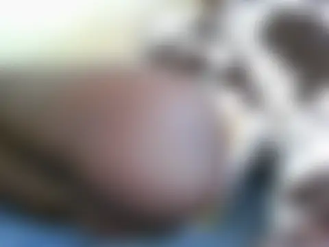 Sala de chat en directo de bransah